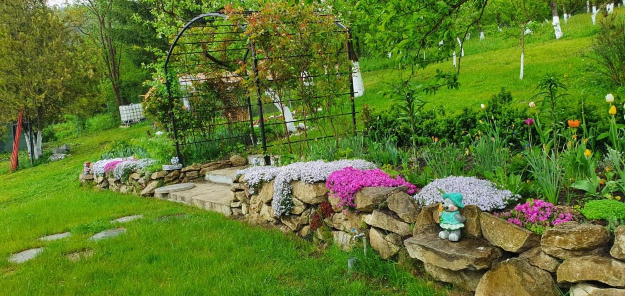 Rustic Dreams-Dobolii De Sus Villa Exterior foto